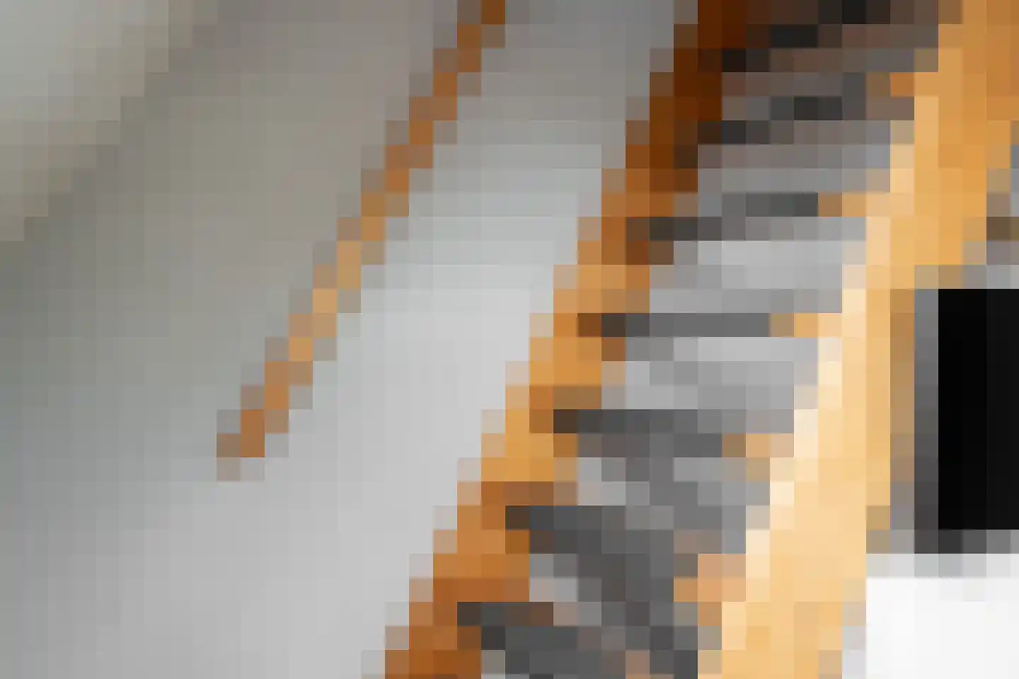 Glorialaan 29 Epe thumbnail 25