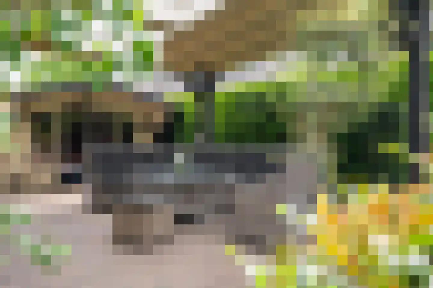 Glorialaan 29 Epe thumbnail 29