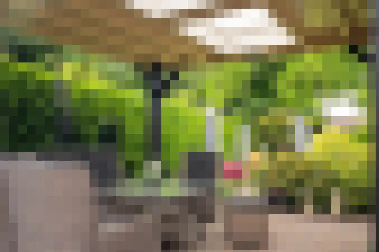 Glorialaan 29 Epe thumbnail 30