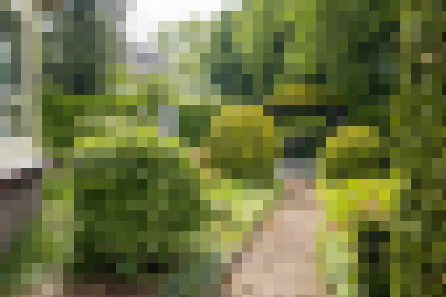 Glorialaan 29 Epe thumbnail 33