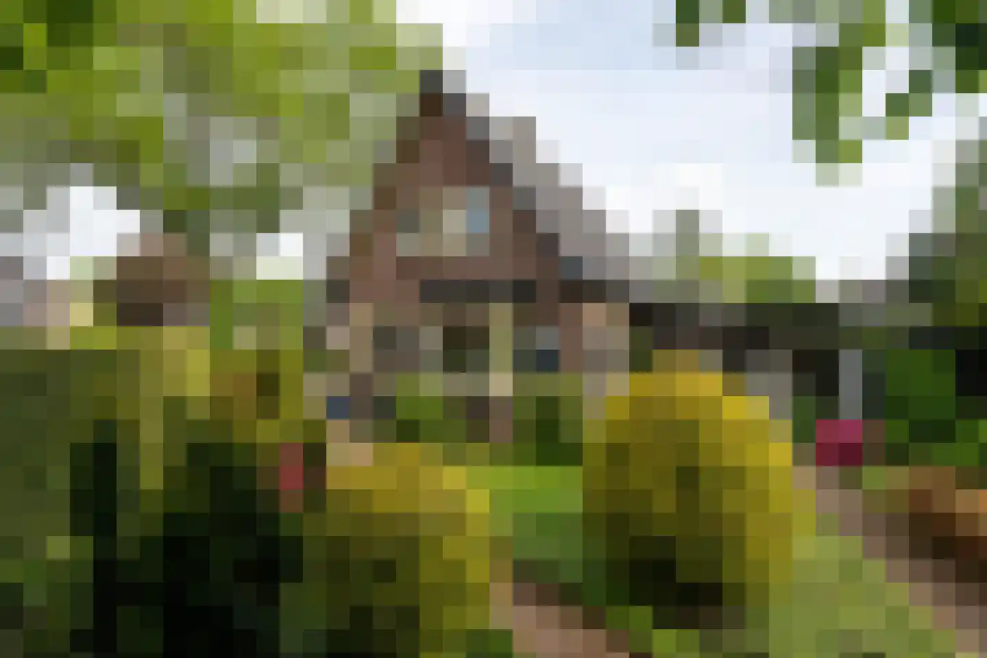 Glorialaan 29 Epe thumbnail 35
