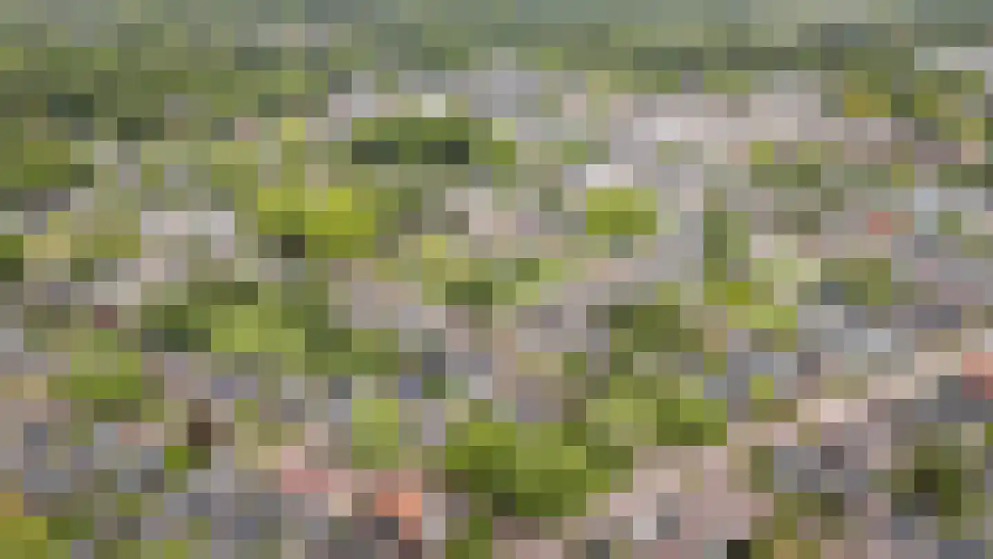 Glorialaan 29 Epe thumbnail 38