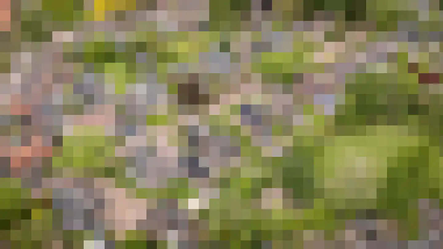 Glorialaan 29 Epe thumbnail 4