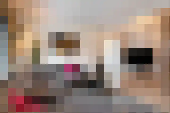 Glorialaan 3 Epe thumbnail 11