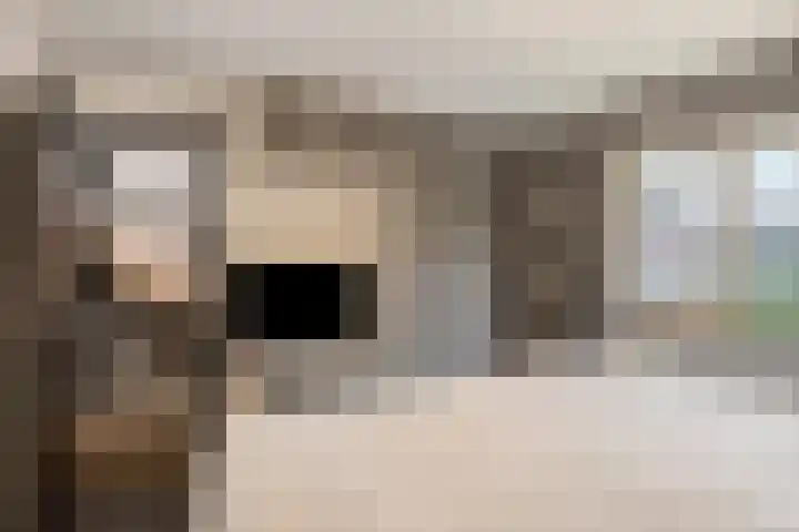 Glorialaan 3 Epe thumbnail 19
