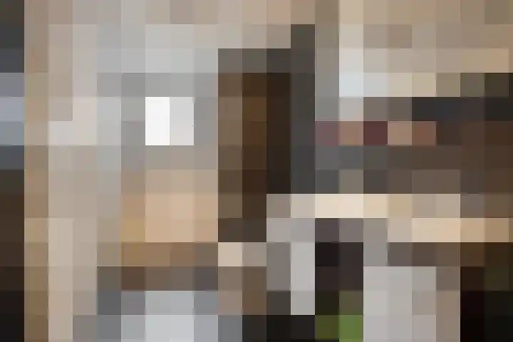 Glorialaan 3 Epe thumbnail 25