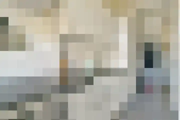 Gloriantstraat 11 2 Amsterdam thumbnail 16