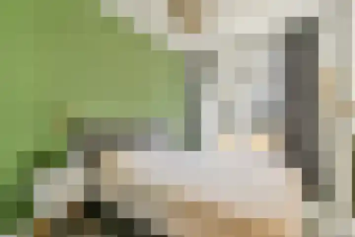 Gloriantstraat 11 2 Amsterdam thumbnail 17