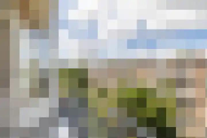 Gloriantstraat 15 2 Amsterdam thumbnail 4