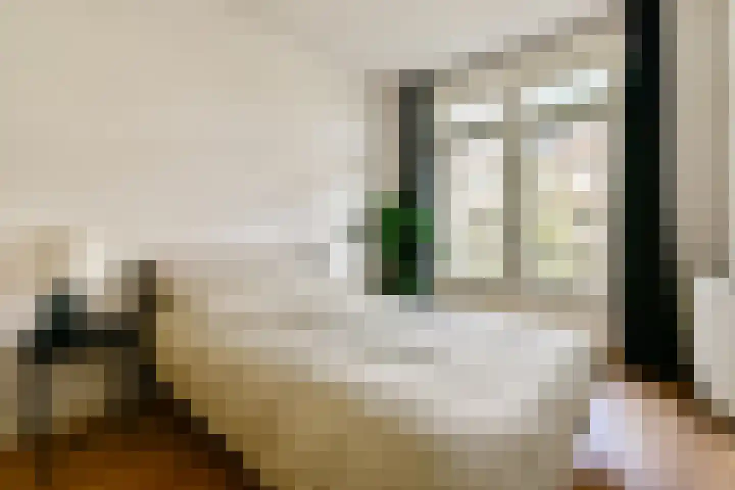 Gloriantstraat 16 3 Amsterdam thumbnail 17