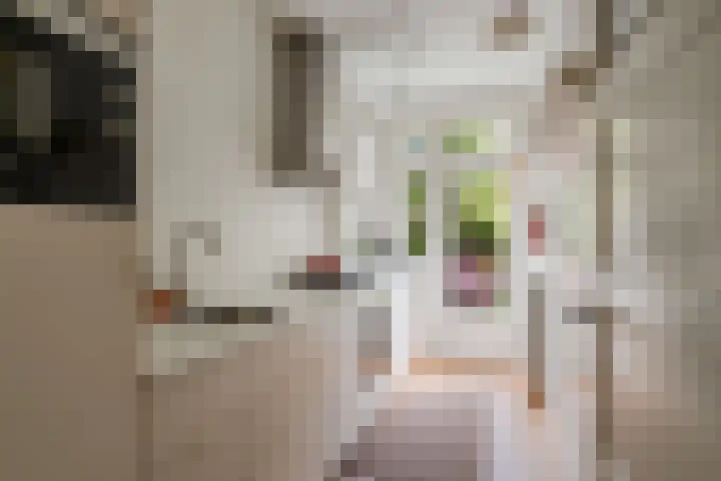 Gloriantstraat 18 H Amsterdam thumbnail 22