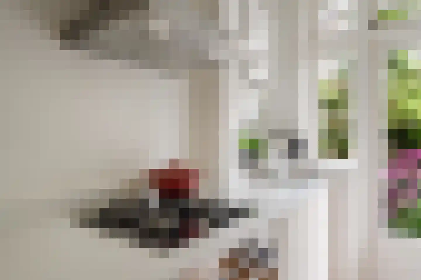 Gloriantstraat 18 H Amsterdam thumbnail 25