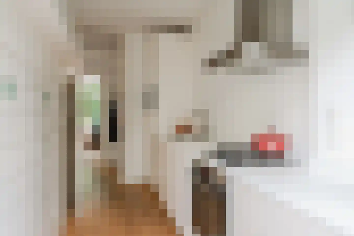 Gloriantstraat 18 H Amsterdam thumbnail 26