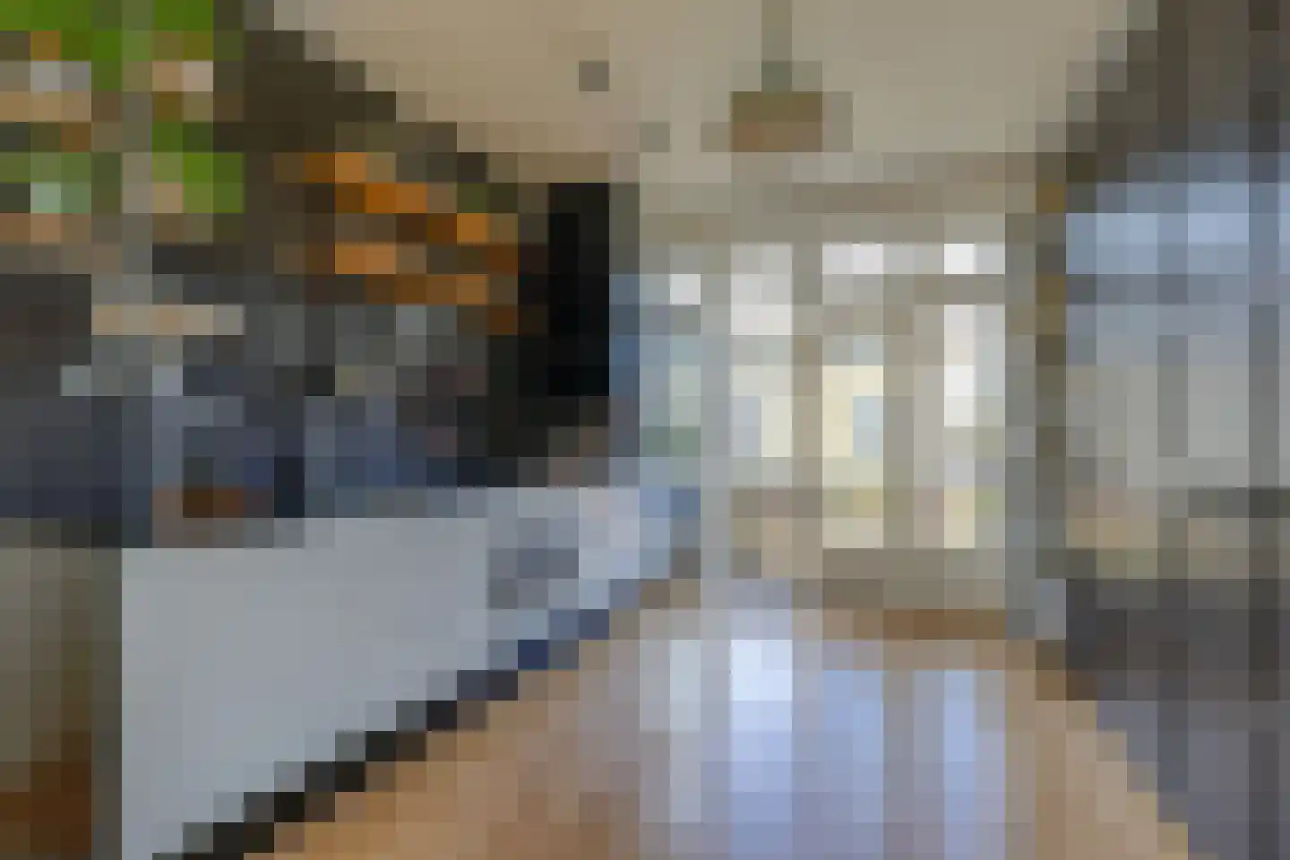 Gloriantstraat 2 2 Amsterdam thumbnail 16