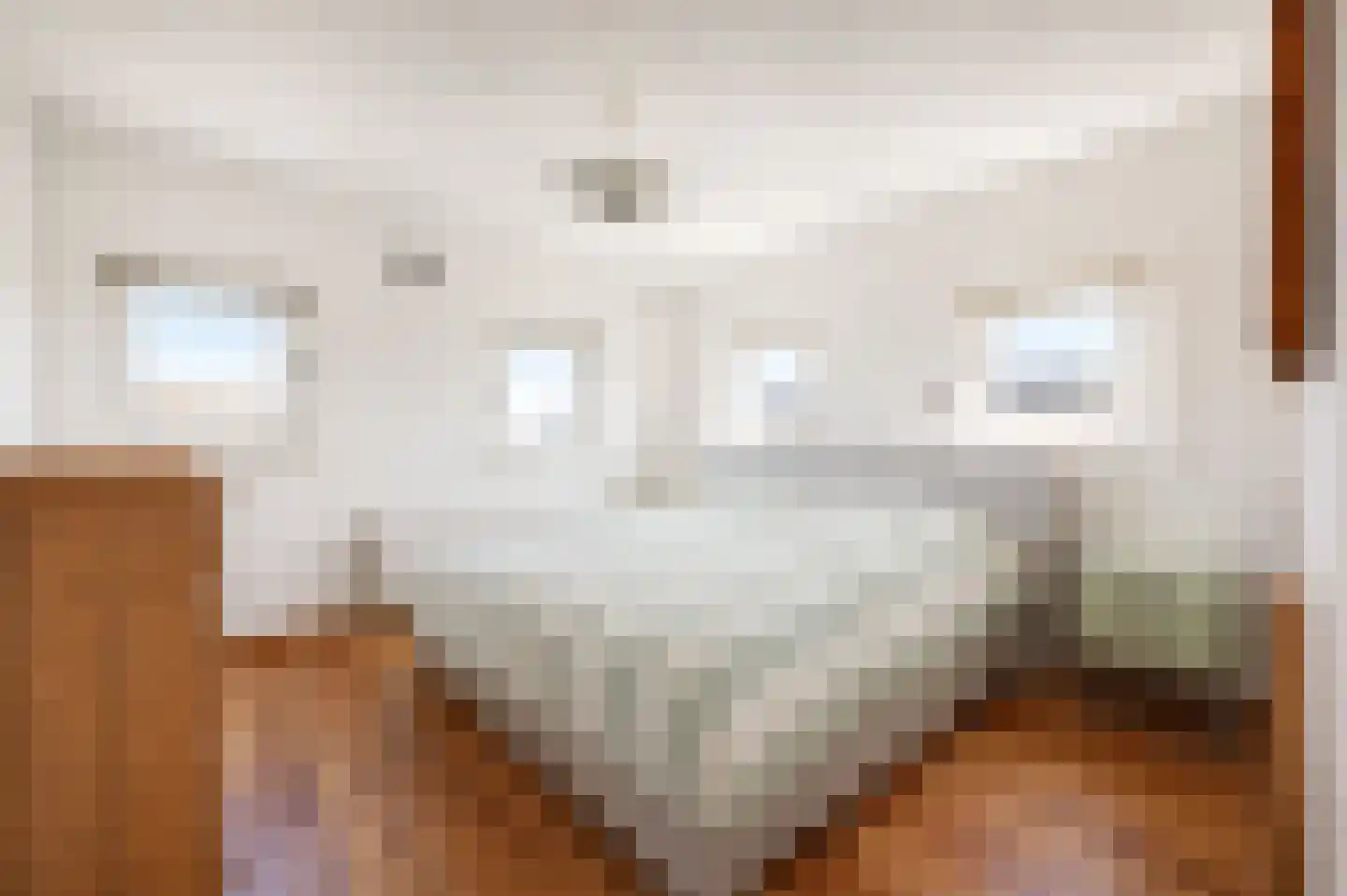 Gloriantstraat 2 3 Amsterdam thumbnail 27