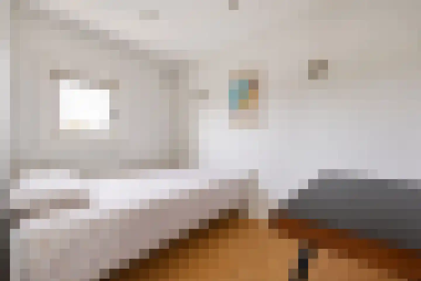 Gloriantstraat 2 3 Amsterdam thumbnail 29