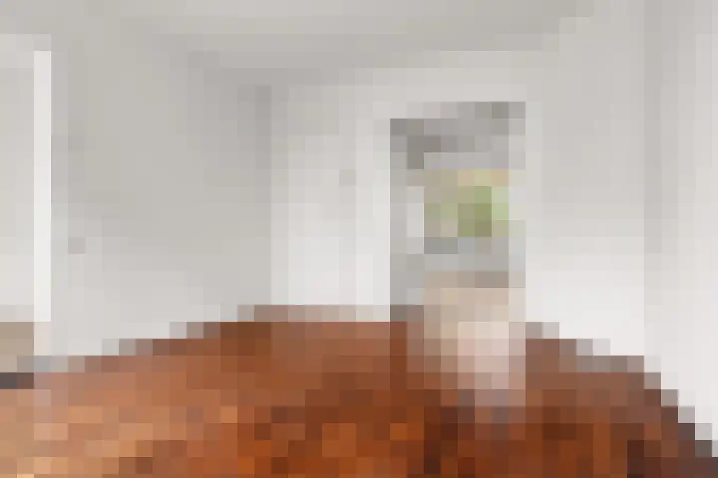 Gloriantstraat 21 2 Amsterdam thumbnail 11