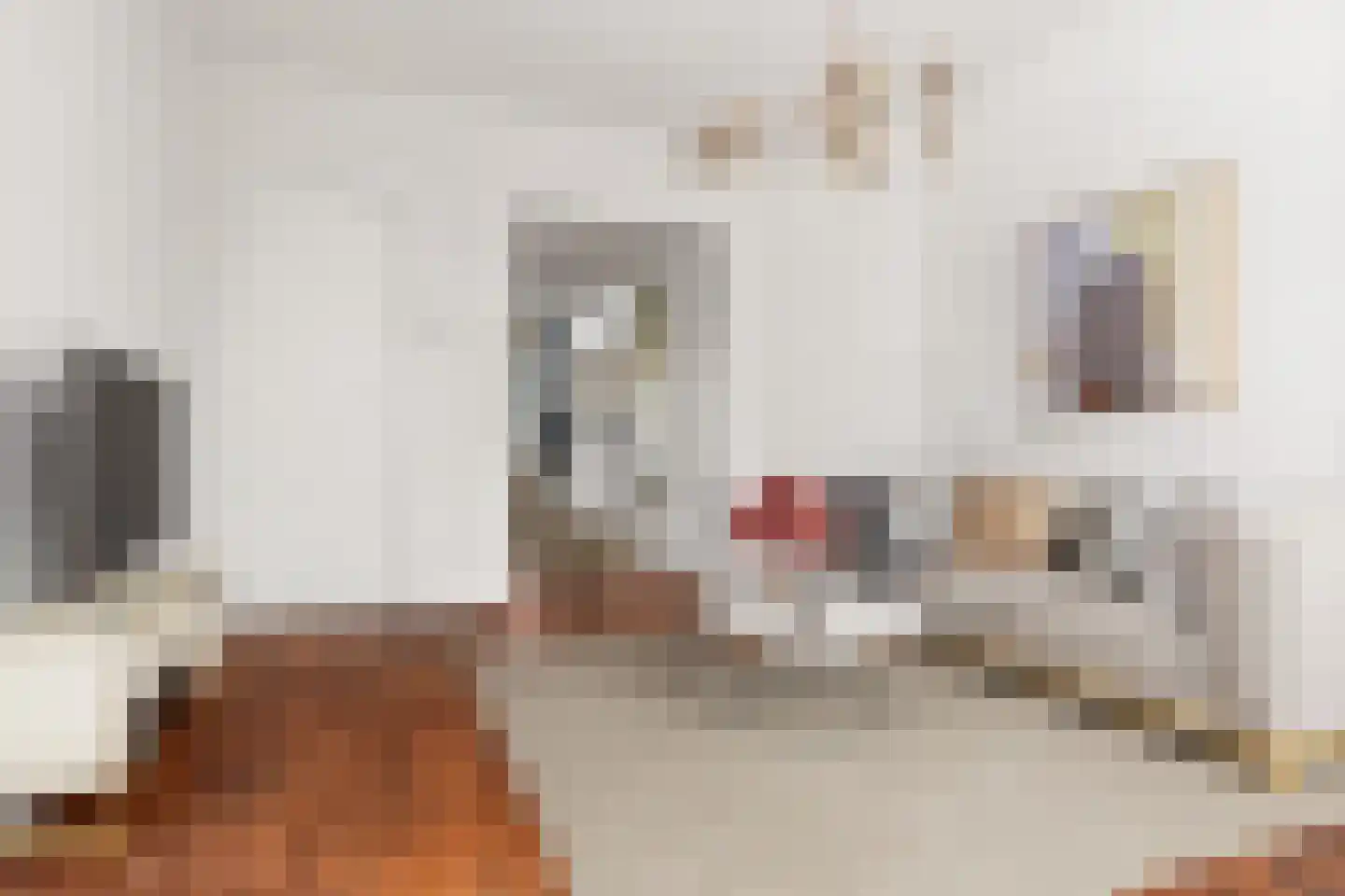 Gloriantstraat 21 2 Amsterdam thumbnail 12