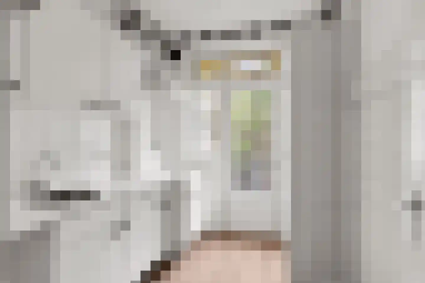 Gloriantstraat 21 2 Amsterdam thumbnail 19