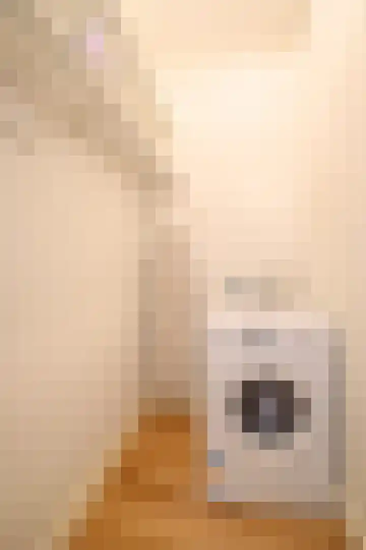 Gloriantstraat 5 H Amsterdam thumbnail 22
