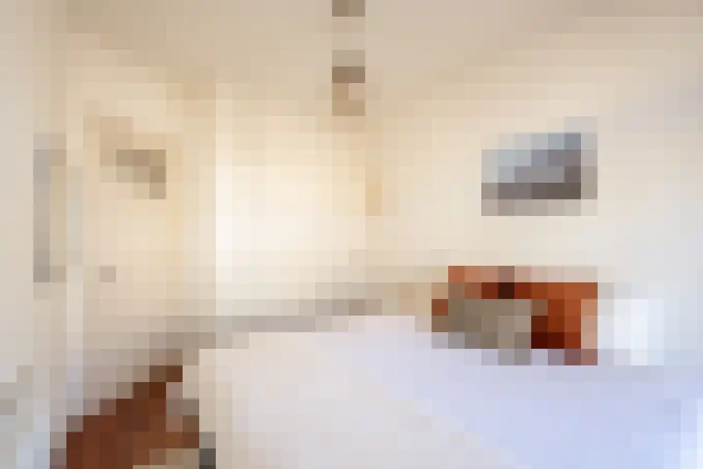 Gloriantstraat 7 2 Amsterdam thumbnail 32