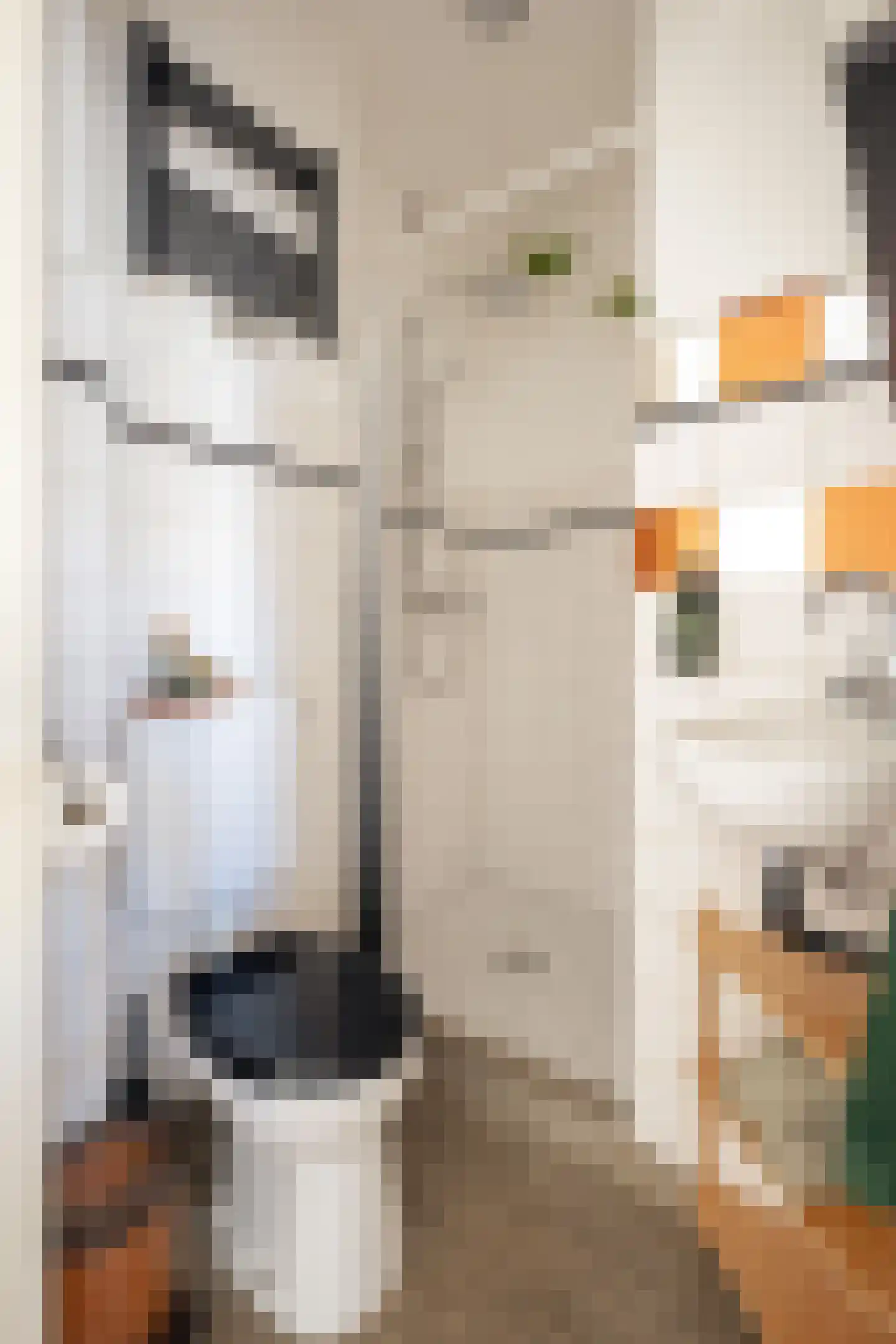 Gloriantstraat 7 2 Amsterdam thumbnail 39