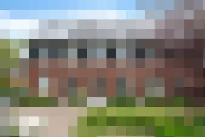 Glorie van Hollanderf 6 Hoef en Haag