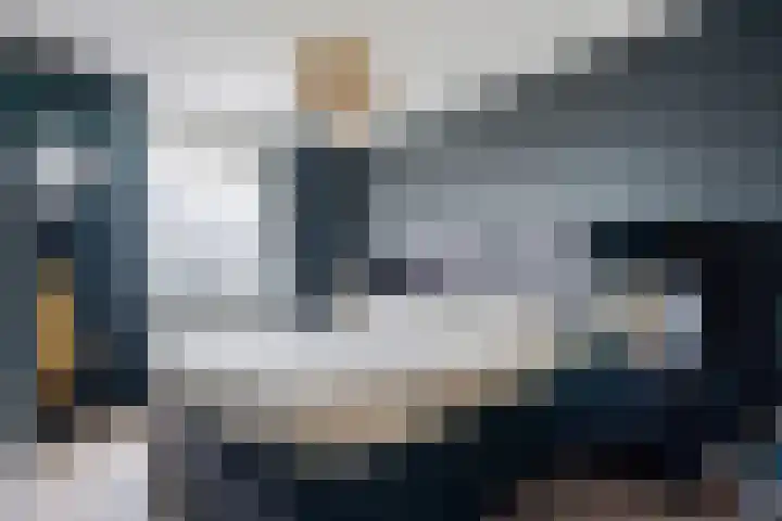 Glorie van Hollanderf 6 Hoef en Haag thumbnail 13