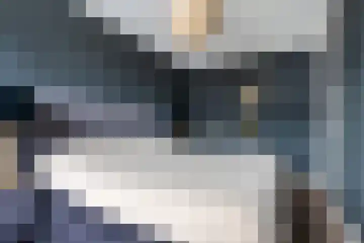 Glorie van Hollanderf 6 Hoef en Haag thumbnail 14