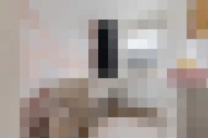 Glorie van Hollanderf 6 Hoef en Haag thumbnail 15