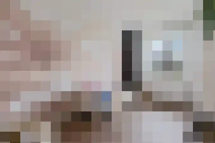 Glorie van Hollanderf 6 Hoef en Haag thumbnail 17