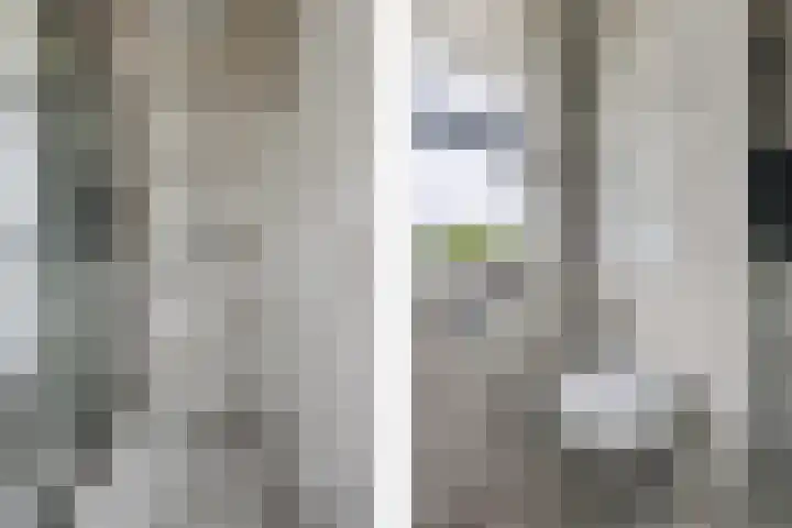 Glorie van Hollanderf 6 Hoef en Haag thumbnail 20