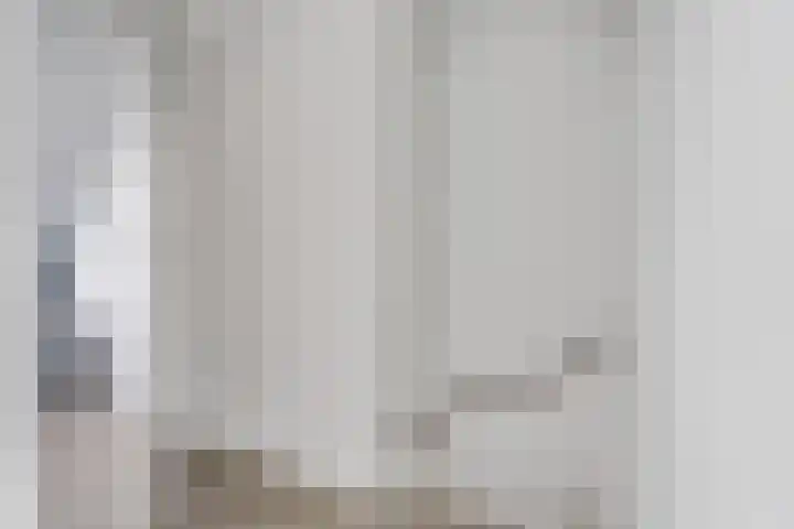 Glorie van Hollanderf 6 Hoef en Haag thumbnail 22