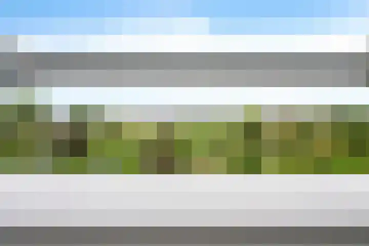 Glorie van Hollanderf 6 Hoef en Haag thumbnail 27