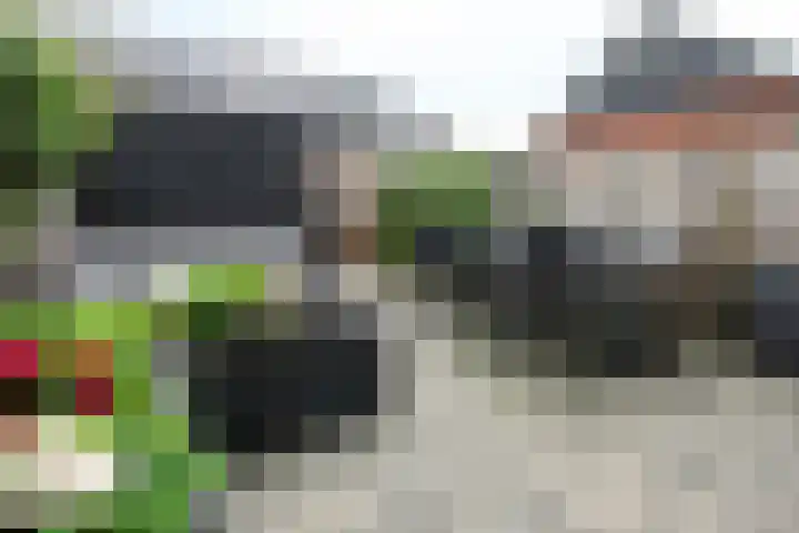 Glorie van Hollanderf 6 Hoef en Haag thumbnail 28