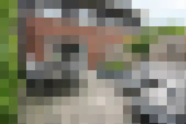 Glorie van Hollanderf 6 Hoef en Haag thumbnail 29