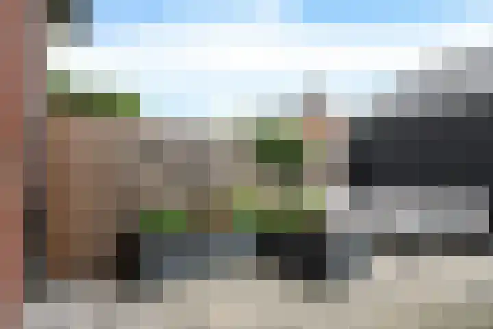 Glorie van Hollanderf 6 Hoef en Haag thumbnail 30