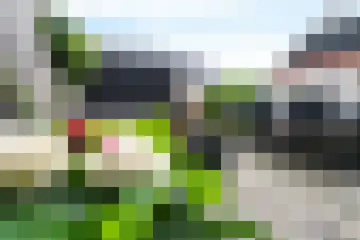 Glorie van Hollanderf 6 Hoef en Haag thumbnail 31