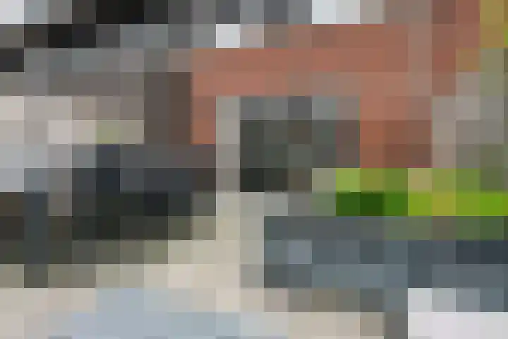 Glorie van Hollanderf 6 Hoef en Haag thumbnail 32