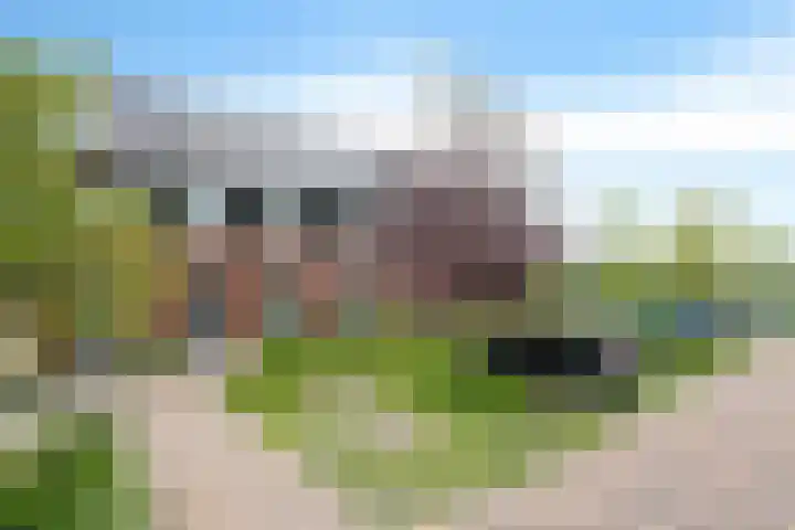 Glorie van Hollanderf 6 Hoef en Haag thumbnail 34