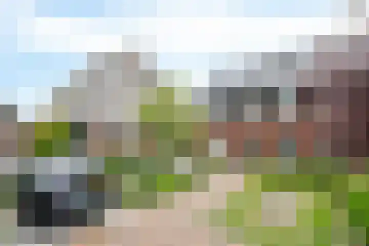 Glorie van Hollanderf 6 Hoef en Haag thumbnail 35