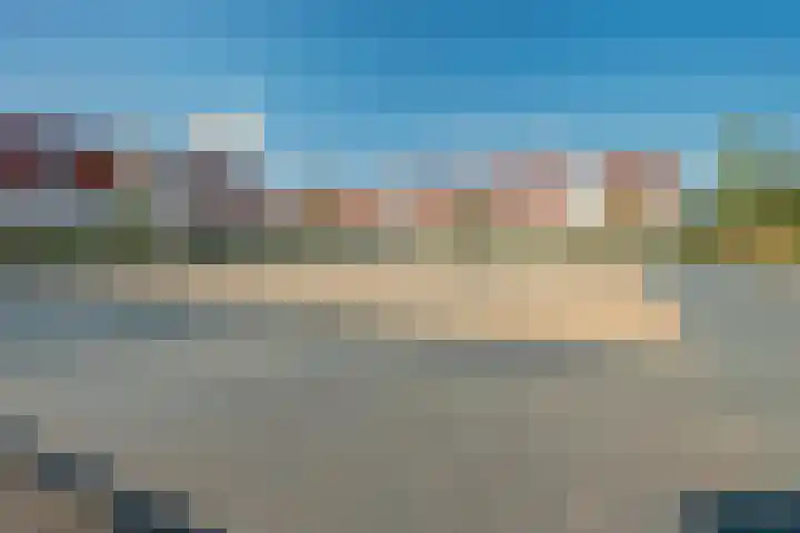 Glorie van Hollanderf 6 Hoef en Haag thumbnail 38
