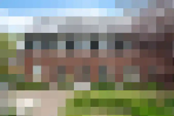 Glorie van Hollanderf 6 Hoef en Haag thumbnail 47