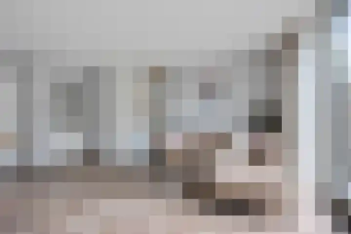 Glorie van Hollanderf 6 Hoef en Haag thumbnail 5