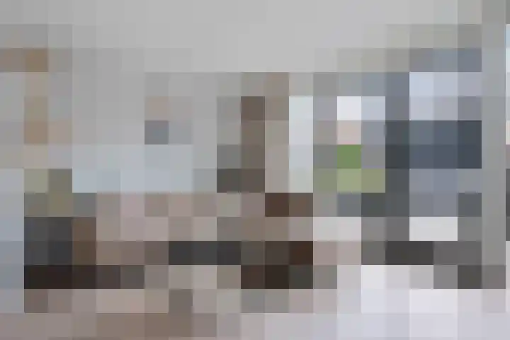 Glorie van Hollanderf 6 Hoef en Haag thumbnail 6