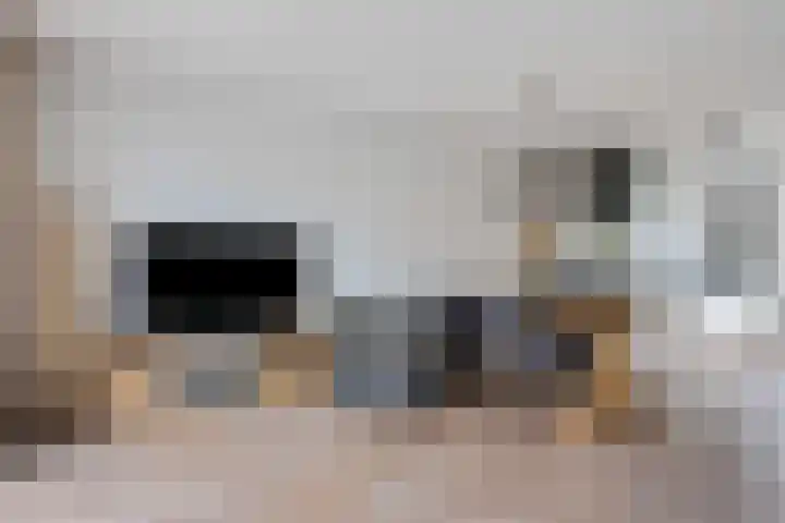 Glorie van Hollanderf 6 Hoef en Haag thumbnail 8