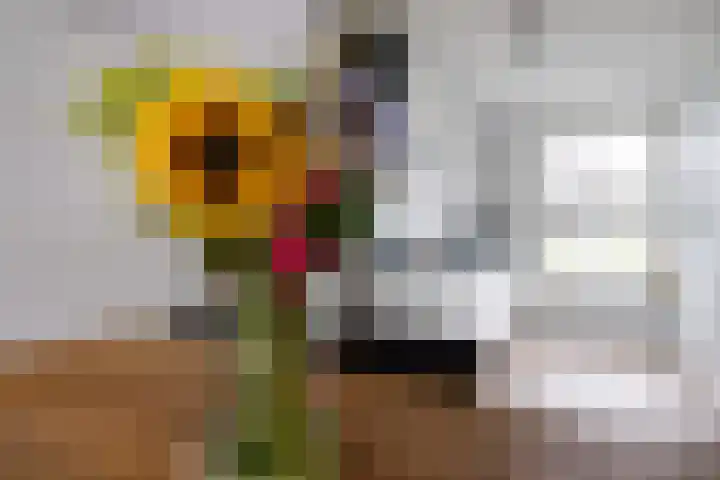 Glorie van Hollanderf 6 Hoef en Haag thumbnail 9