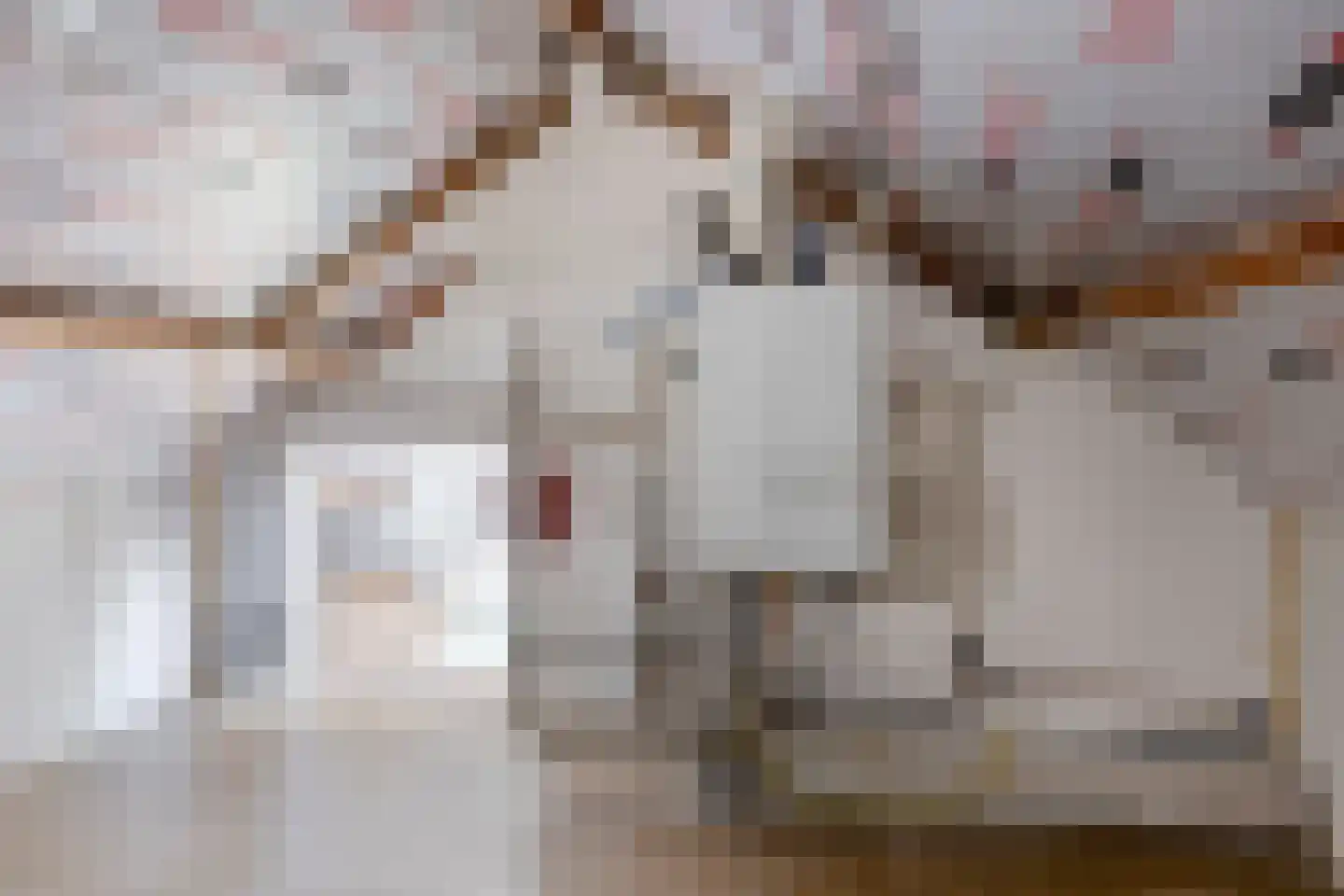 Glorieux 52 Dongen thumbnail 30