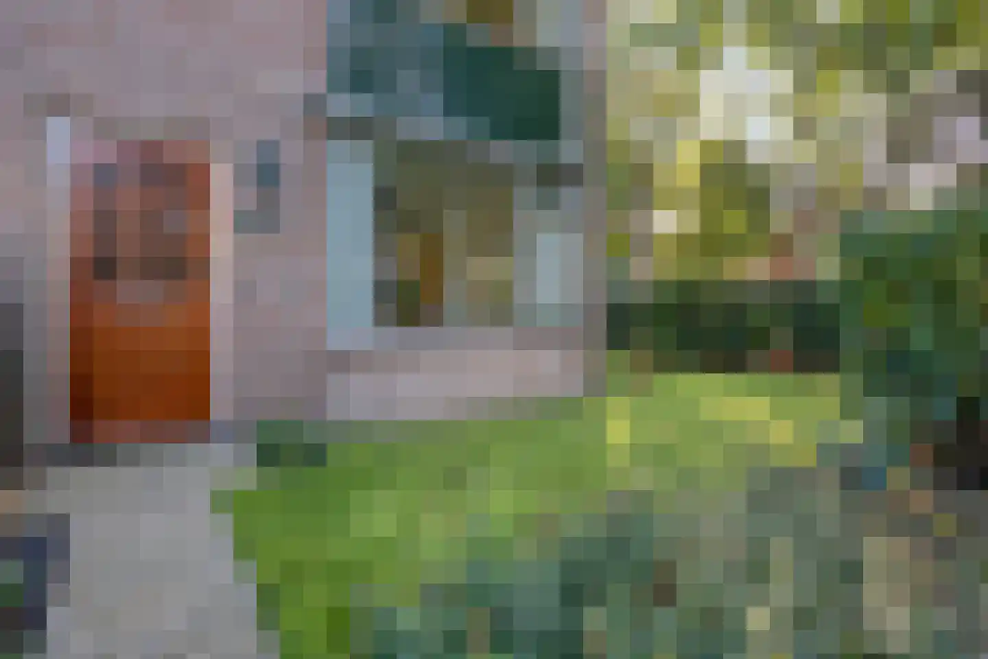 Gloxiniaweg 21 Zwolle thumbnail 12