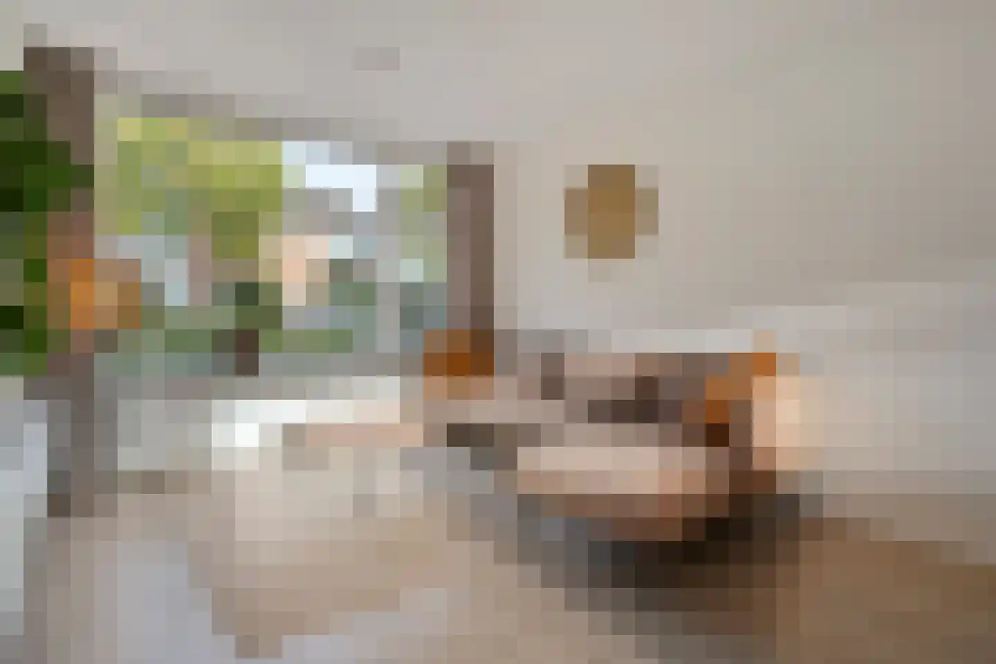 Gloxiniaweg 5 Zwolle thumbnail 11